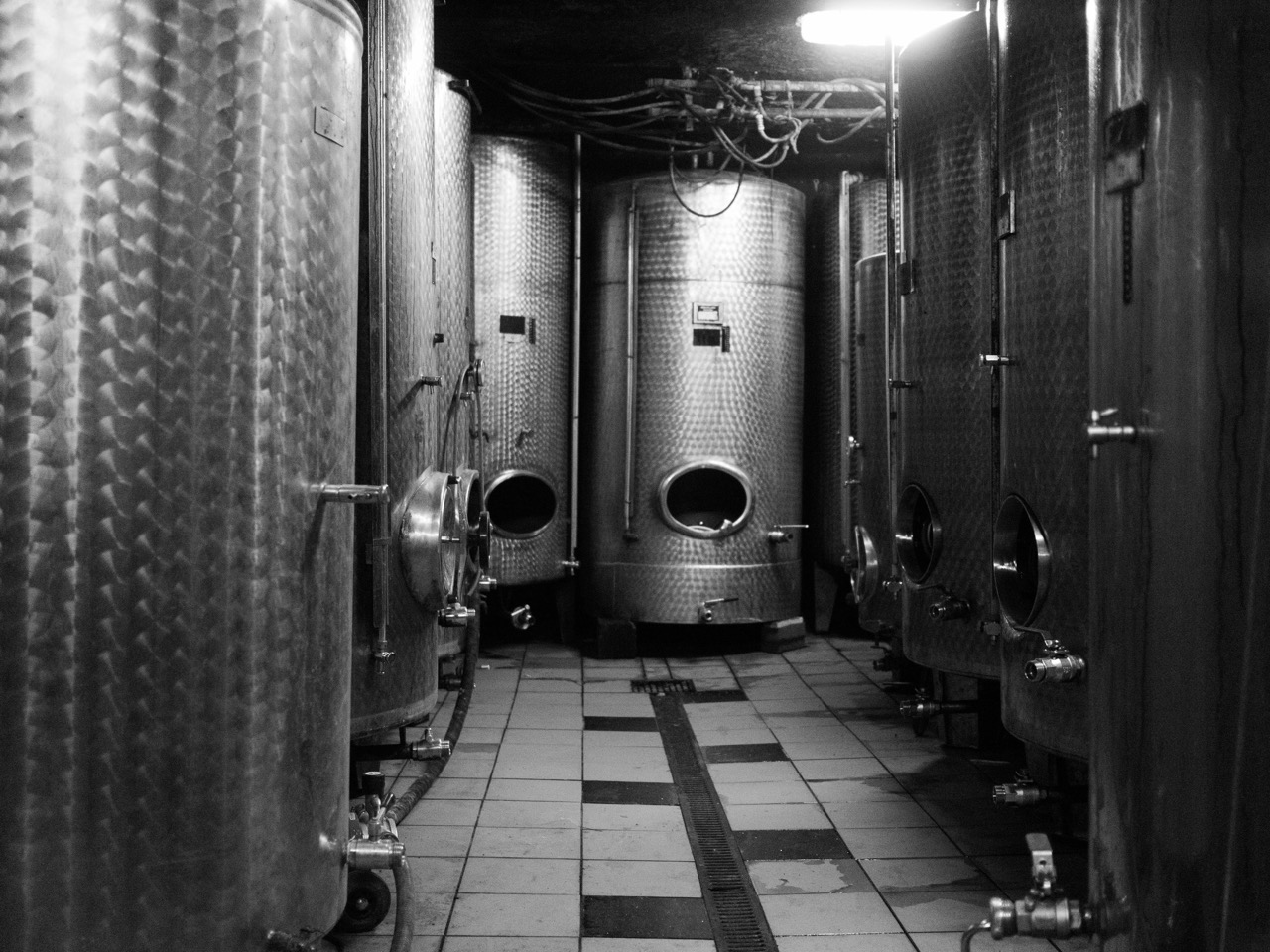 Crnko cellar