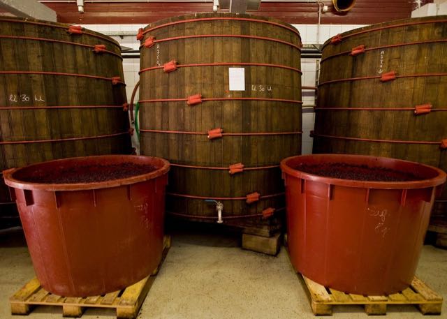 In the cellar