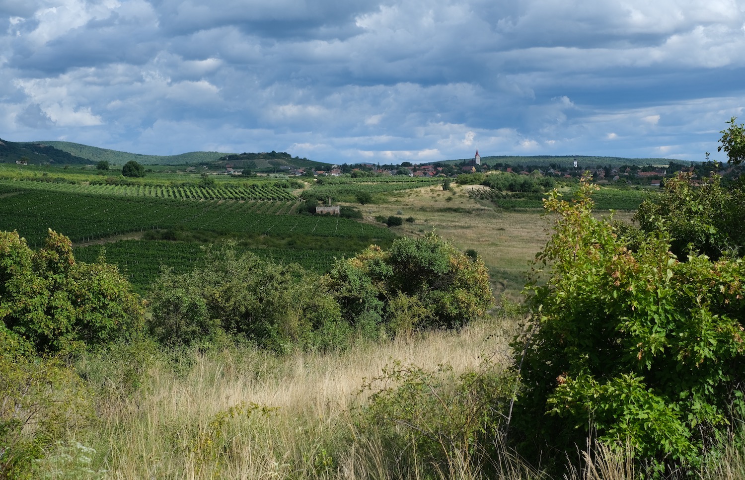 View of Tallya