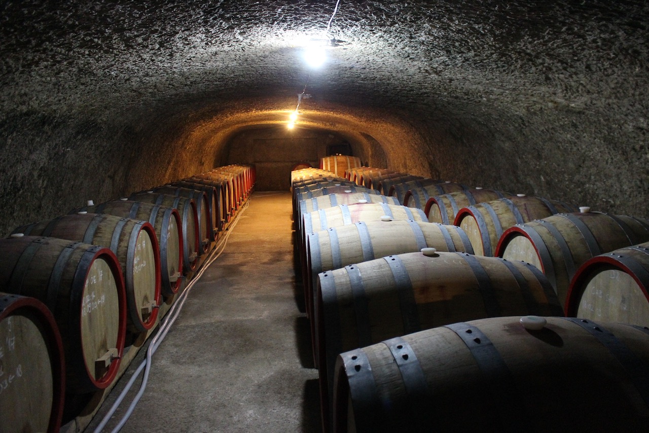 New Cellar