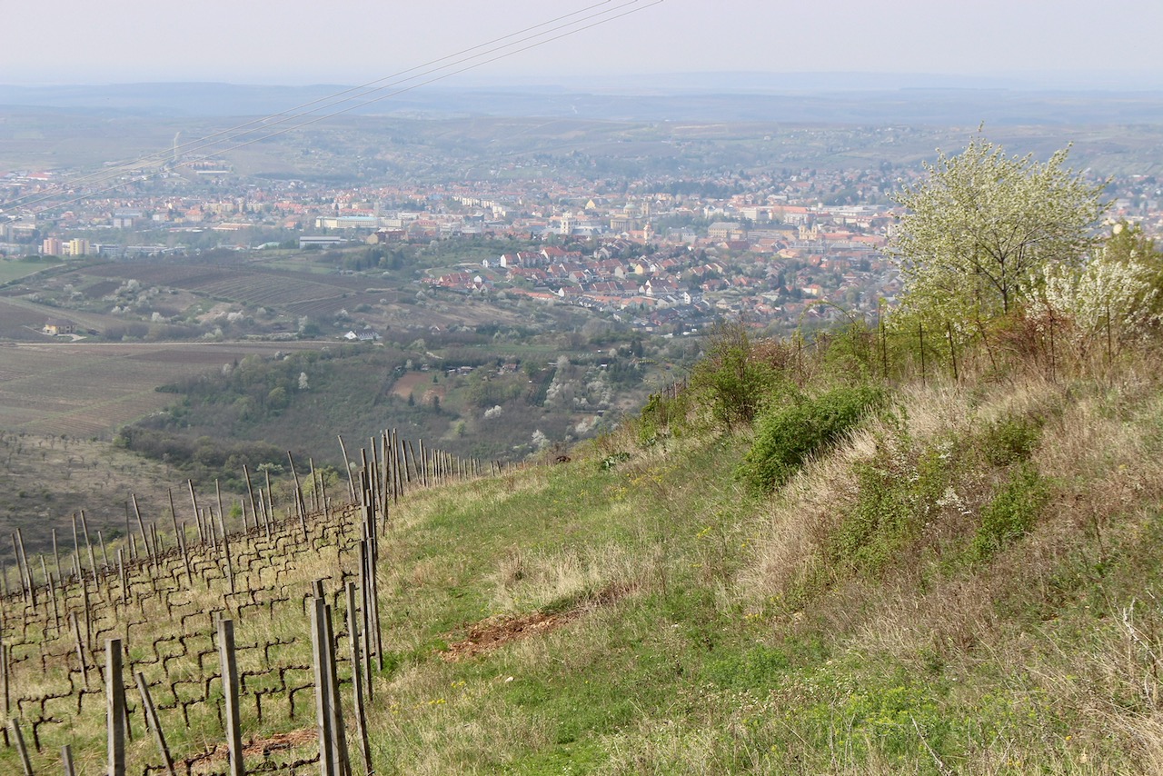 View of Eger